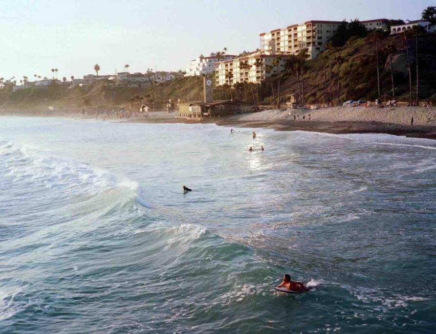 Blue Whale Inn San Clemente Jewel Unit D Exterior foto